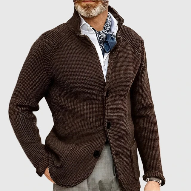 Daniel Strickjacke Herren Pullover mit Stehkragen und Knopfleiste