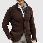 Daniel Strickjacke Herren Pullover mit Stehkragen und Knopfleiste