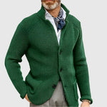 Daniel Strickjacke Herren Pullover mit Stehkragen und Knopfleiste