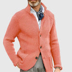 Daniel Strickjacke Herren Pullover mit Stehkragen und Knopfleiste