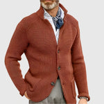 Daniel Strickjacke Herren Pullover mit Stehkragen und Knopfleiste
