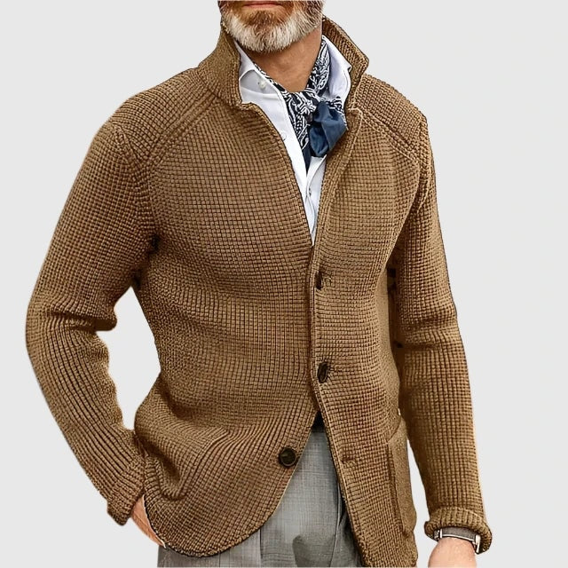 Daniel Strickjacke Herren Pullover mit Stehkragen und Knopfleiste