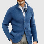 Daniel Strickjacke Herren Pullover mit Stehkragen und Knopfleiste