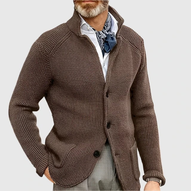 Daniel Strickjacke Herren Pullover mit Stehkragen und Knopfleiste