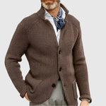 Daniel Strickjacke Herren Pullover mit Stehkragen und Knopfleiste