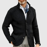 Daniel Strickjacke Herren Pullover mit Stehkragen und Knopfleiste