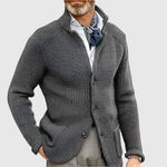 Daniel Strickjacke Herren Pullover mit Stehkragen und Knopfleiste