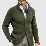 Daniel Strickjacke Herren Pullover mit Stehkragen und Knopfleiste