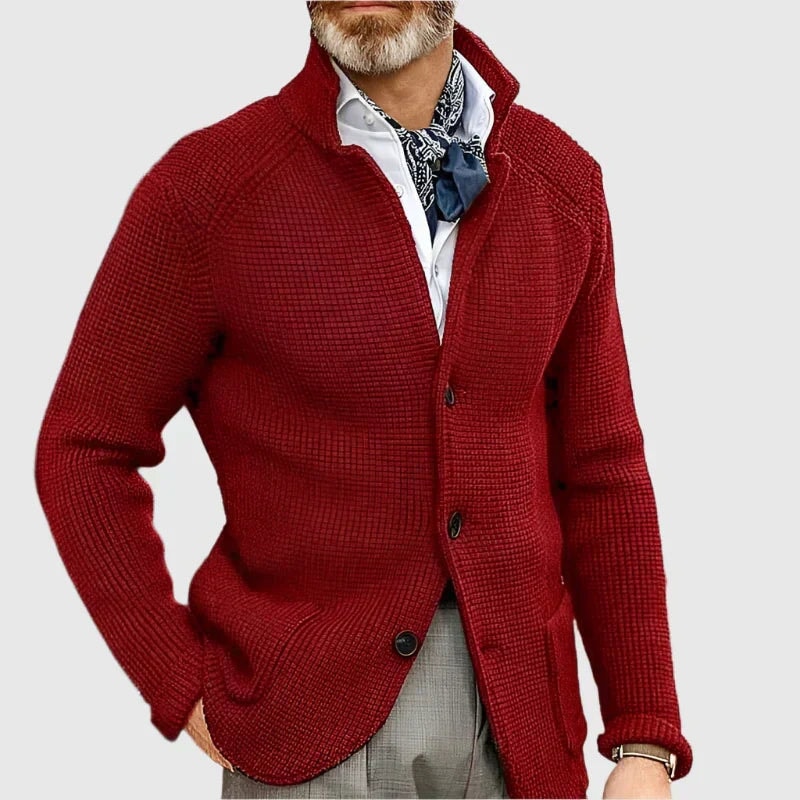 Daniel Strickjacke Herren Pullover mit Stehkragen und Knopfleiste